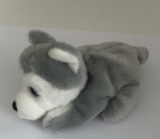 Russ Petooties Pets  Husky Dog