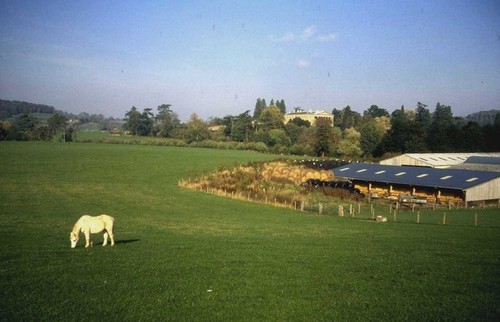 Photo 6x4 grazing land - photo, of