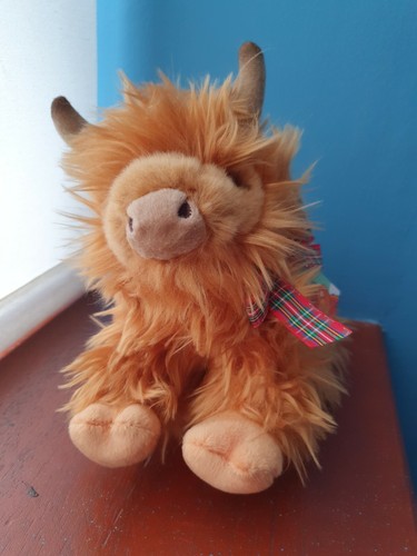 Millie the highland calf - millie,
