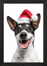 Rat Terrier Dog with Santa Hat