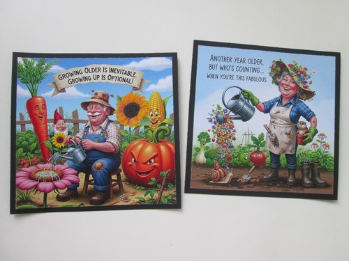 Set novelty quirky - &,