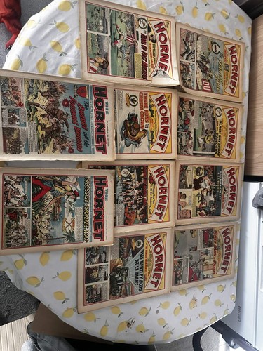 The hornet comics - the,