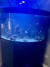 Marine Aquarium fish Tank Complete Set Up