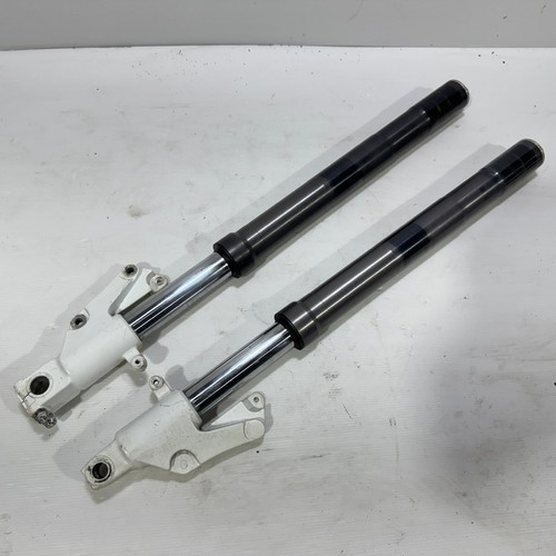 Suzuki goose 350 inverted - suzuki,
