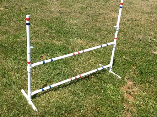 Dog agility equipment - dog,