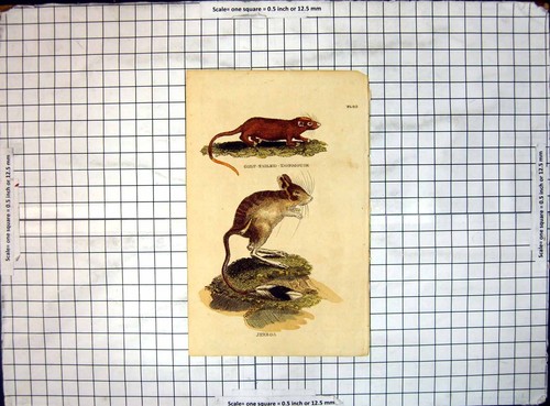 Original old antique - old,
