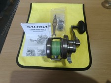daiwa saltiga LD35  2 speed