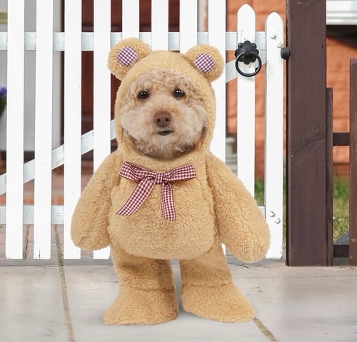 Rubies walking teddy bear - walking,