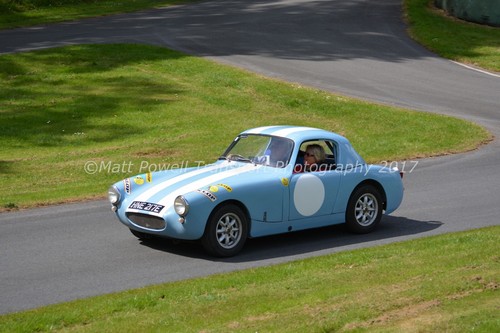 Car photo 12x8 austin - car,