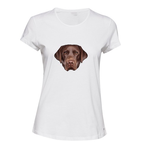 Brown cute labrador dog head - dog,