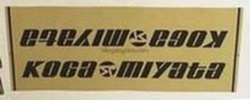 Koga miyata downtube decals - miyata,