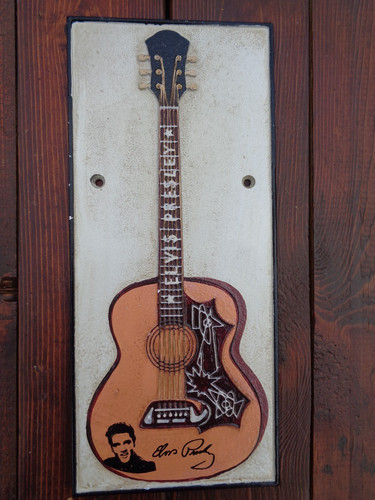 Elvis presley fans guitar - elvis,