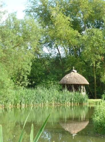 Photo 6x4 thatched - photo, or