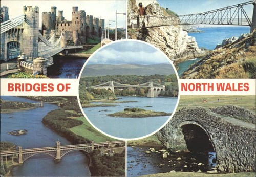 Vintage dennis print postcard - vintage,