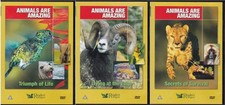 Animals are amazing - animals,