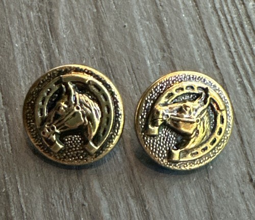 Vintage horse head horseshoe - head,