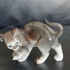 A Cat Holding Her Kitten