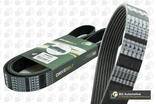 Bga multi drive belt - multi-v,