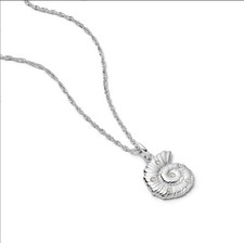 Daisy London Pearl & Shell Necklace in Sterling Silver - SN19_SLV