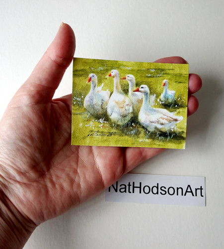 Original not print - original,, ,