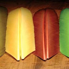 Turkey Biot Quills - Fly Tying
