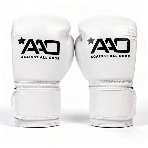 Aao performance boxing - performance,