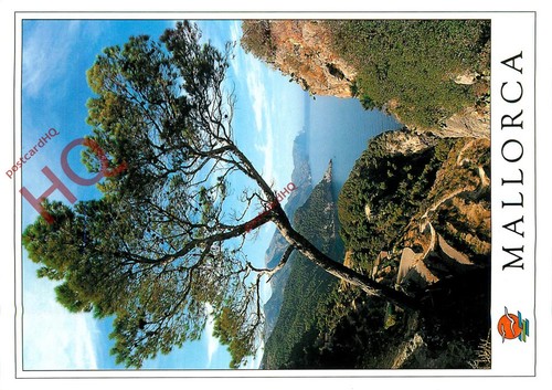 Picture postcard mallorca - picture,