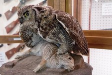 Photo:Sundance Wyoming 2015