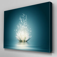 FL317 Dazzling Lotus Flower Canvas Wall Art Framed Picture Print