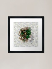 Xenopus frog nucleosome Framed