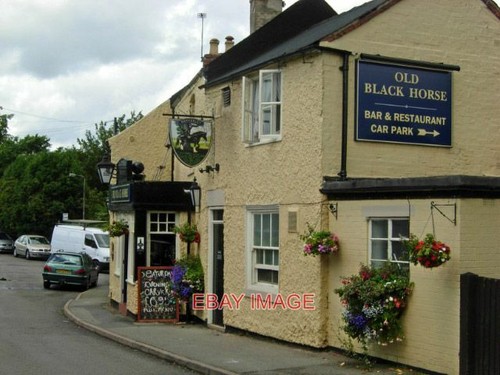 Photo the old black horse - photo,