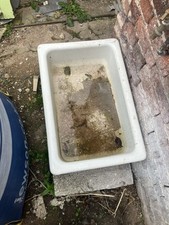 Belfast Giants Vinyl Sticker