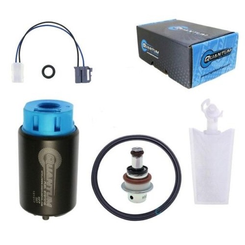 Qfs fuel pump - fuel, seal