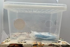 Monotub 25L Empty mushroom