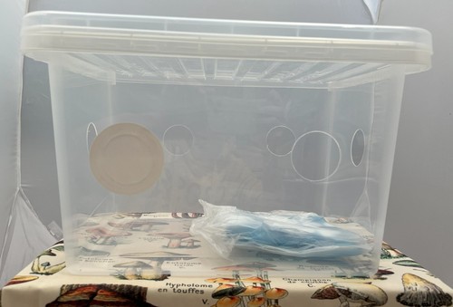 Monotub 25l empty mushroom - monotub,