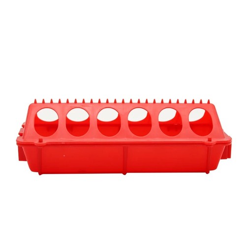 Automatic chicken feeder - chicken,