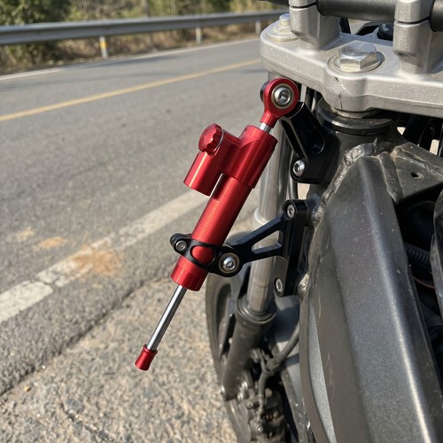 Motorcycle steering damper - motorcycle,