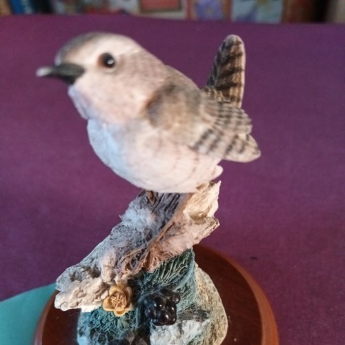 Border fine arts wren - fine, –