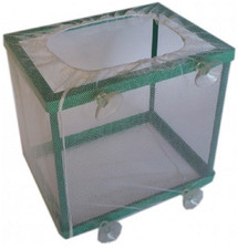 Pet Nova Aquarium Fish