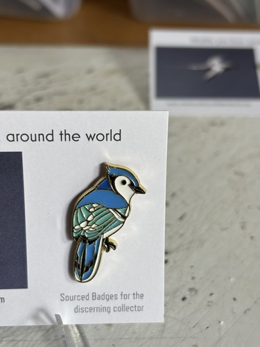 Rspb interest blue jay - blue,