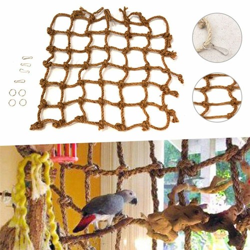 Birds climbing training rope - birds,