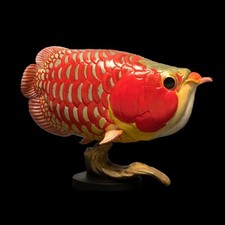 Animal heavenly body red - animal,