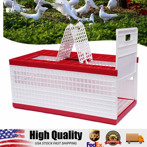 Racing pigeon carrier box - racing,