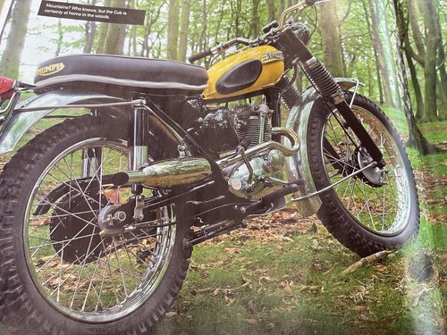 Triumph mountain cub - mountain,