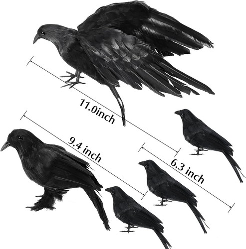 5pack halloween crow - 5pack,
