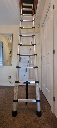 Telescopic ladder stainless - ladder,
