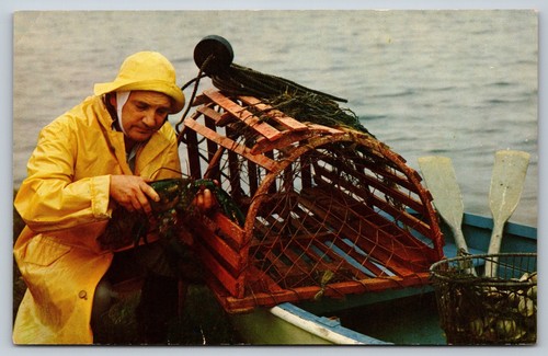 Atlantic coast fisherman - atlantic,