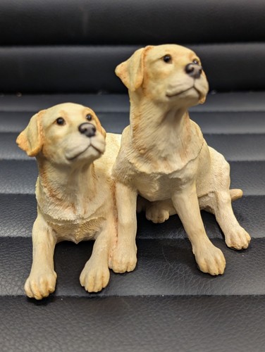 Border fine arts pair of - fine,