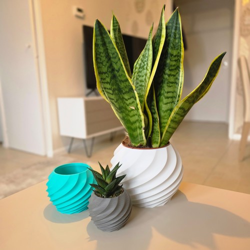 Stylish indoor plant pot - plant,