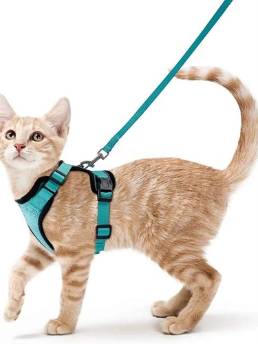 Pet cat harness vest - cat,